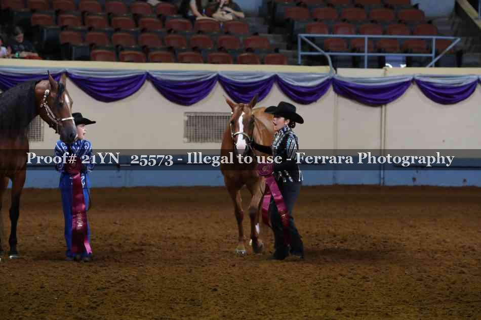 Proof 21YN_25573
