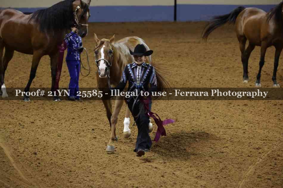 Proof 21YN_25585