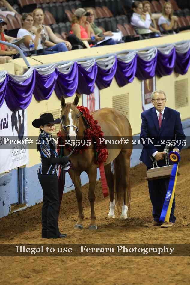 Proof 21YN_25595