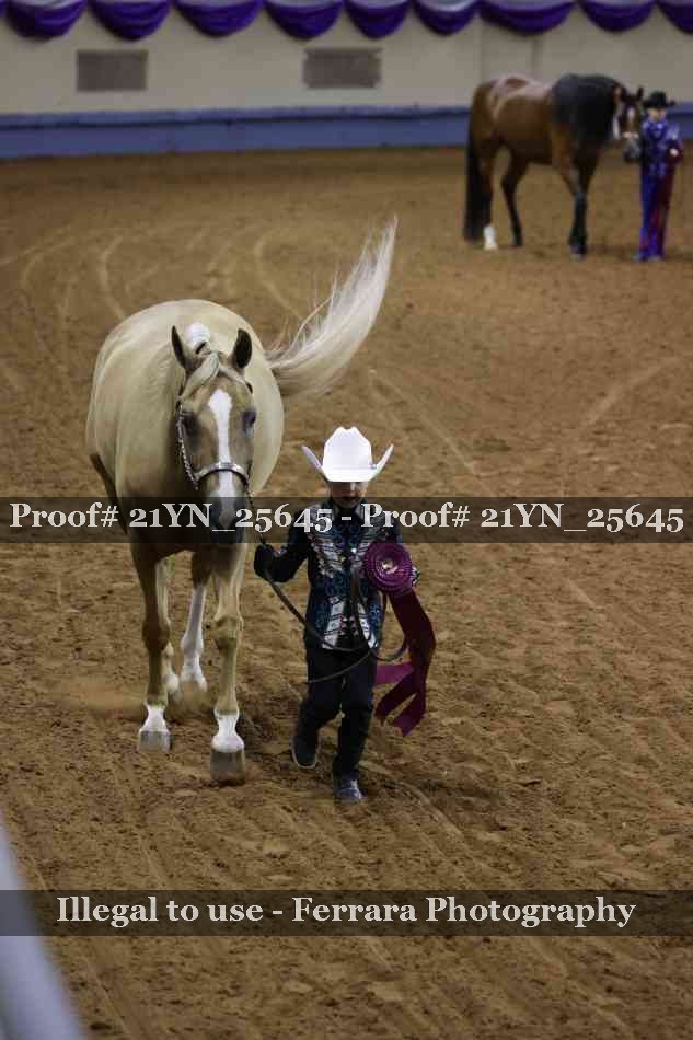 Proof 21YN_25645