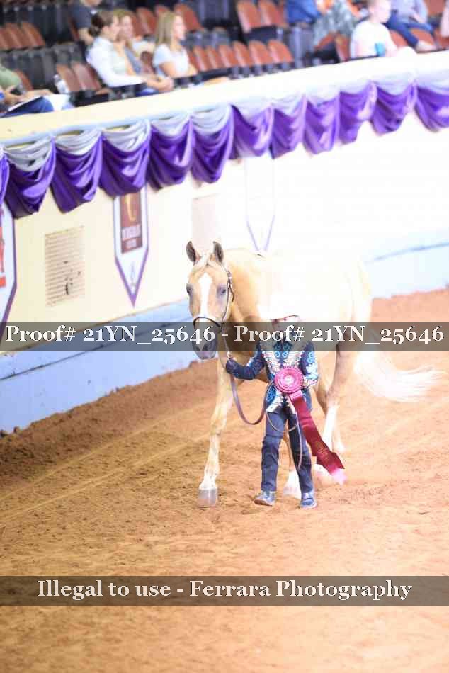 Proof 21YN_25646