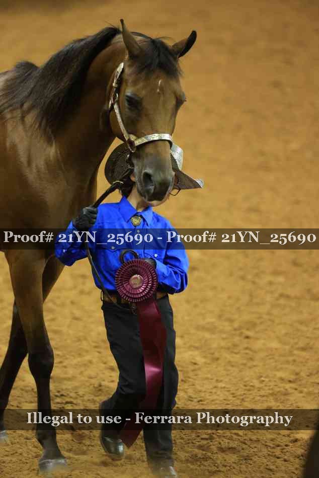 Proof 21YN_25690