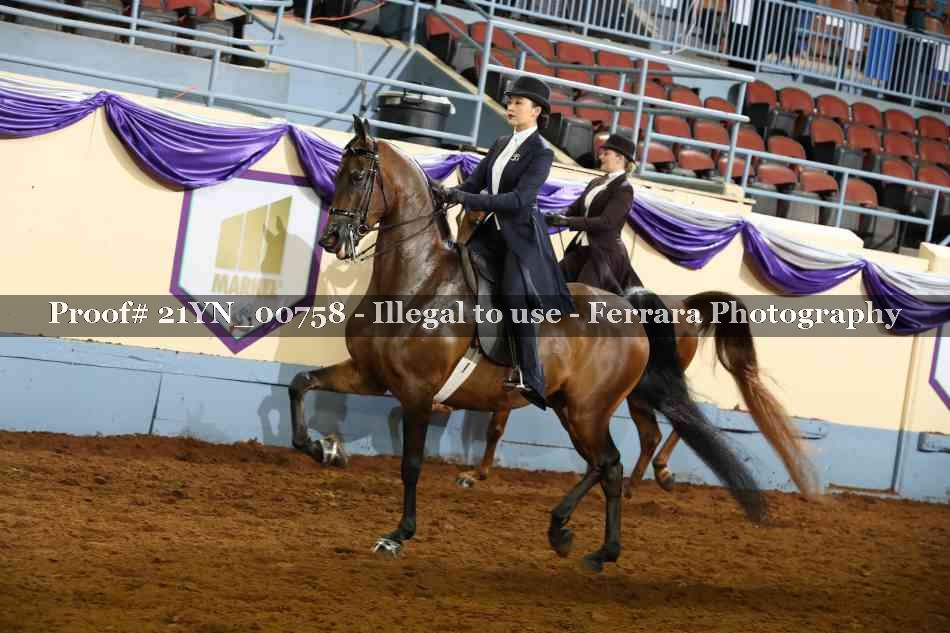 Proof 21YN_00758