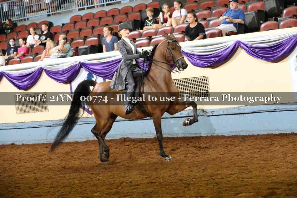 Proof 21YN_00774