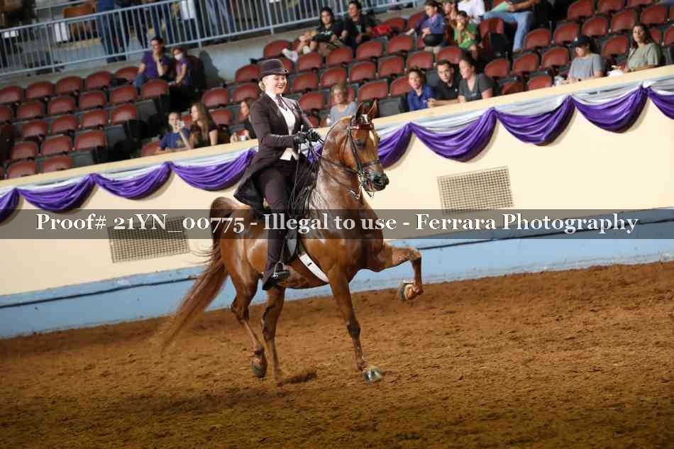 Proof 21YN_00775