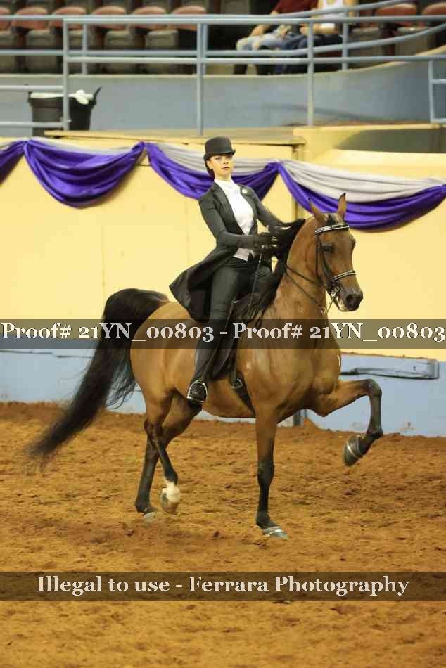 Proof 21YN_00803