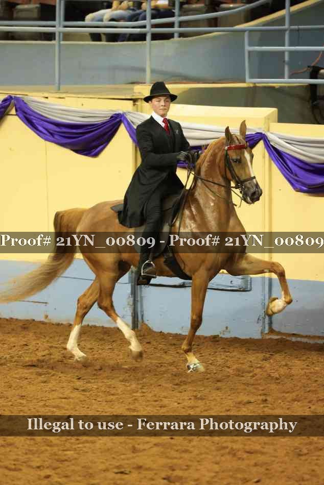 Proof 21YN_00809