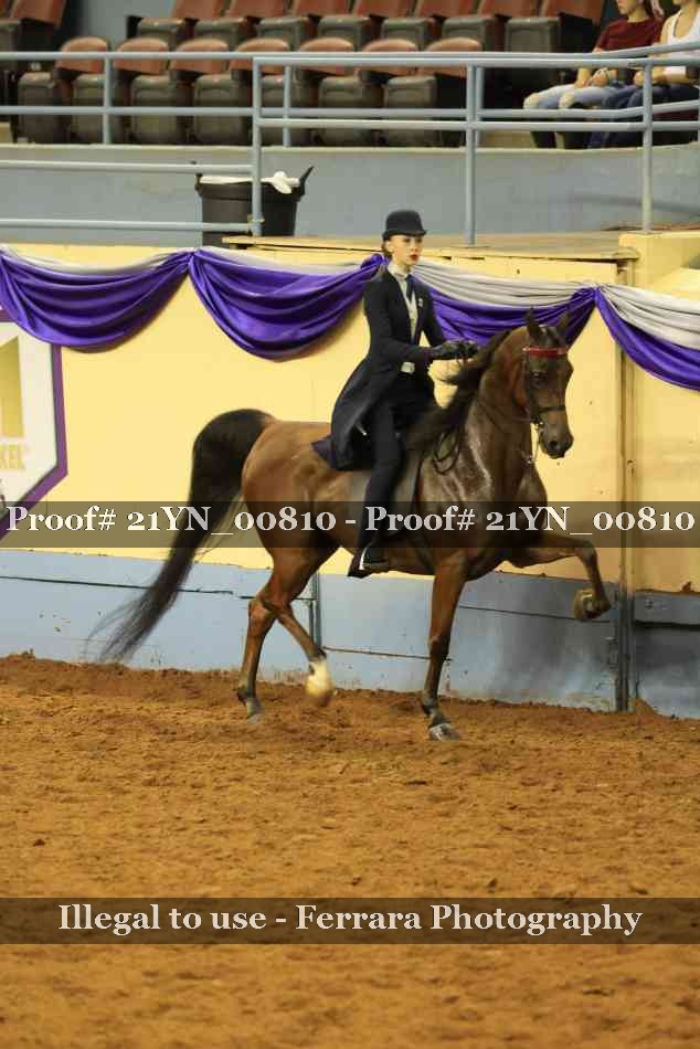 Proof 21YN_00810