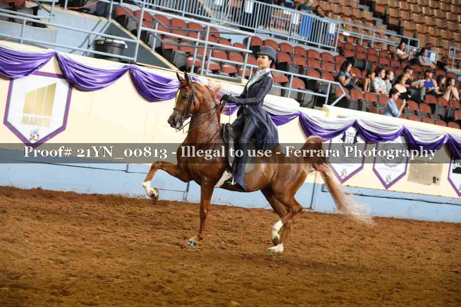 Proof 21YN_00813