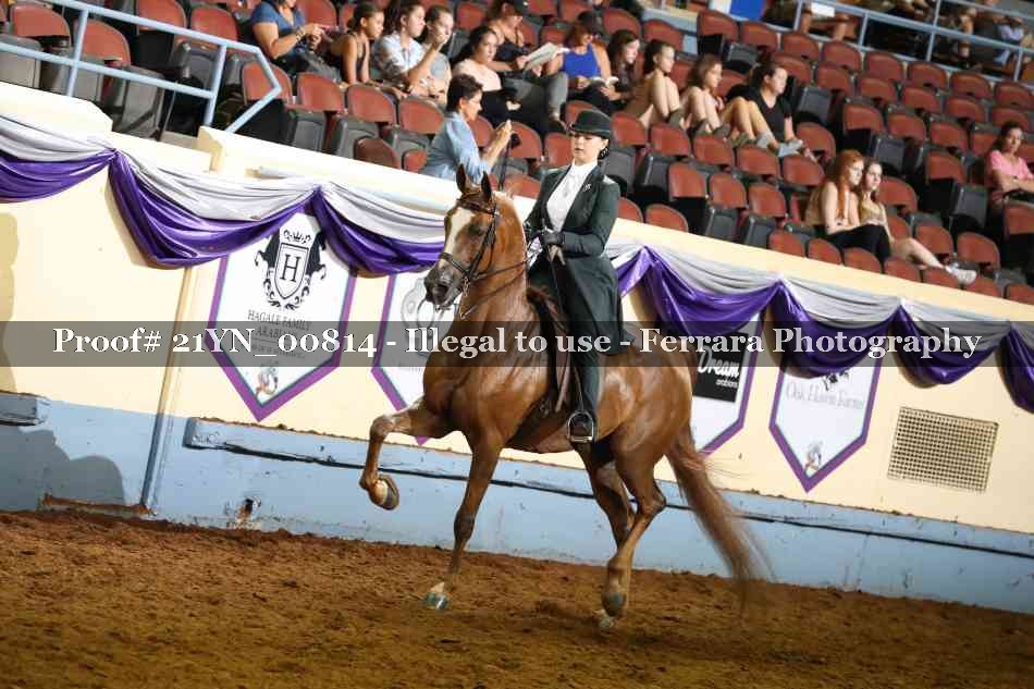 Proof 21YN_00814