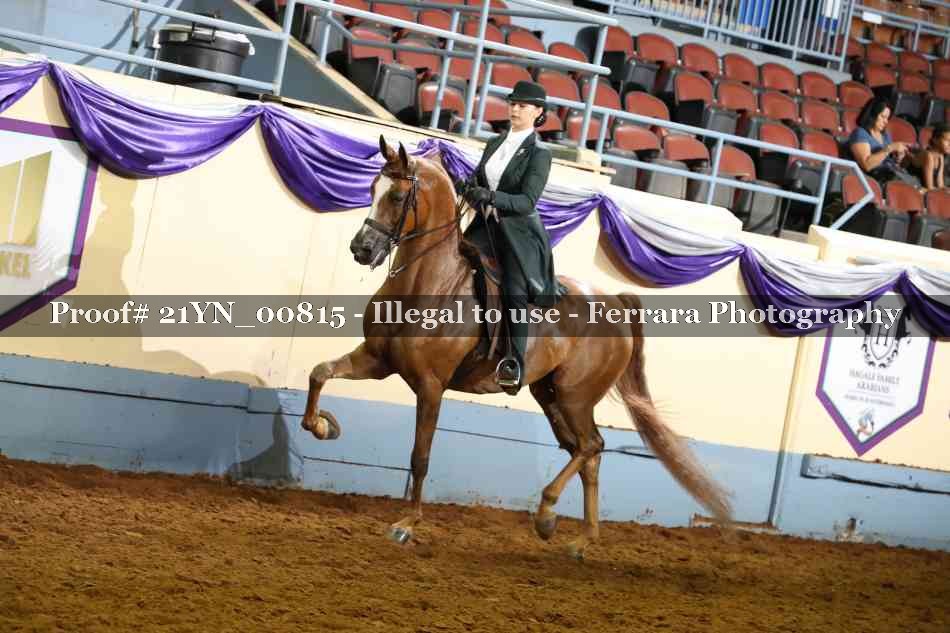 Proof 21YN_00815