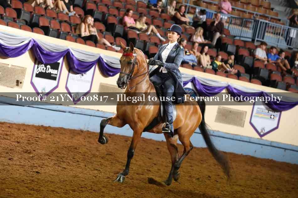 Proof 21YN_00817