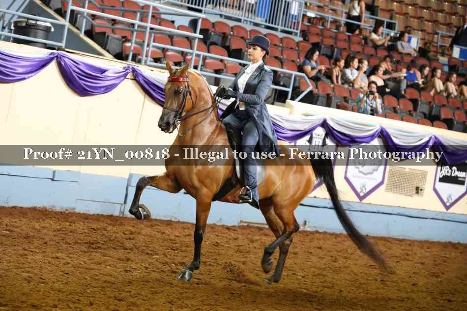 Proof 21YN_00818