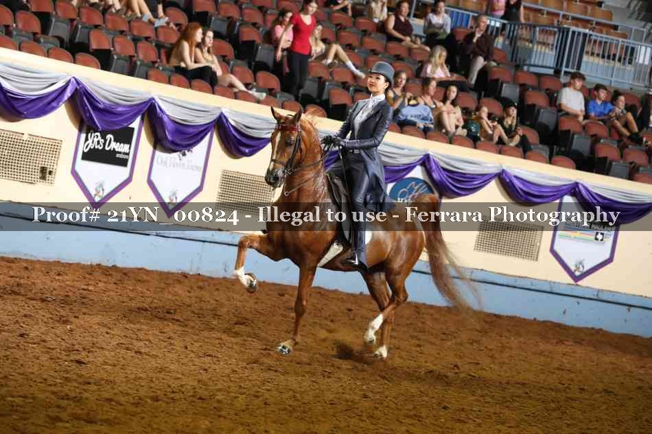 Proof 21YN_00824