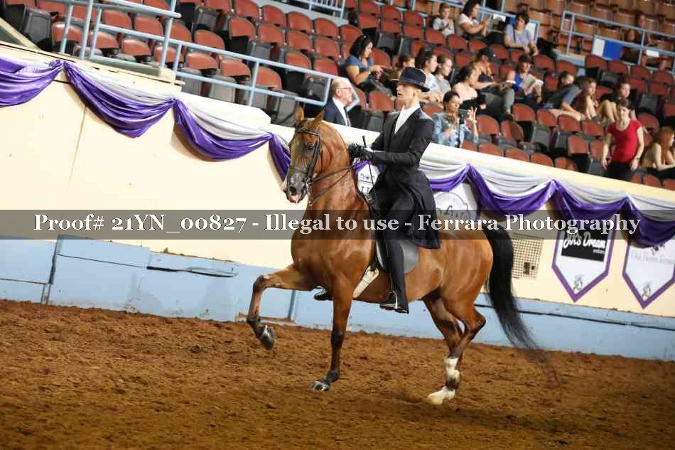 Proof 21YN_00827