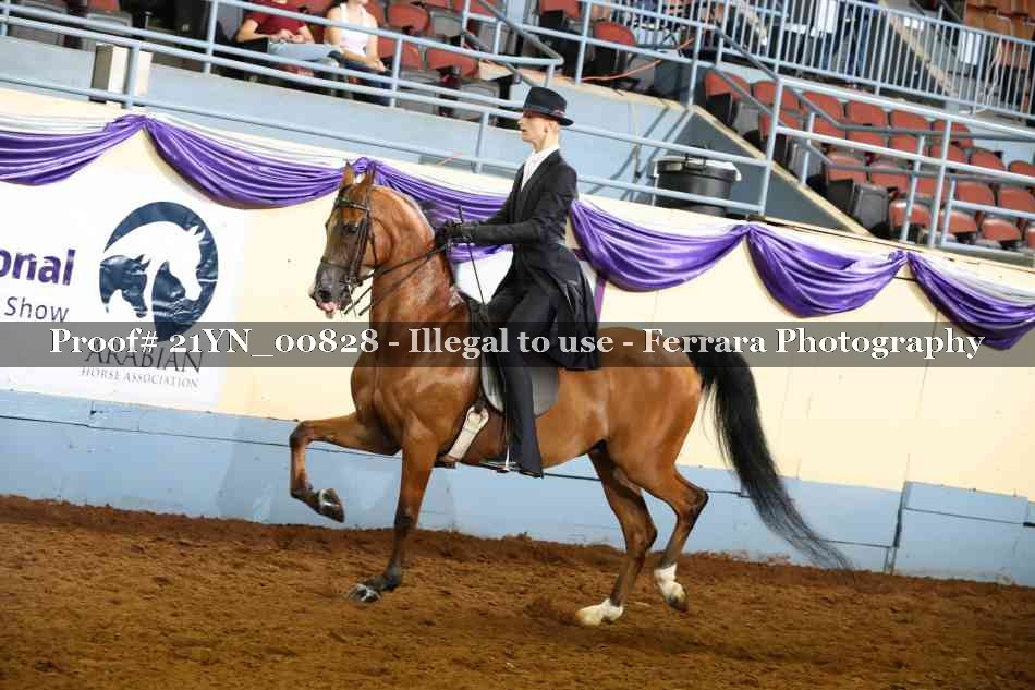 Proof 21YN_00828