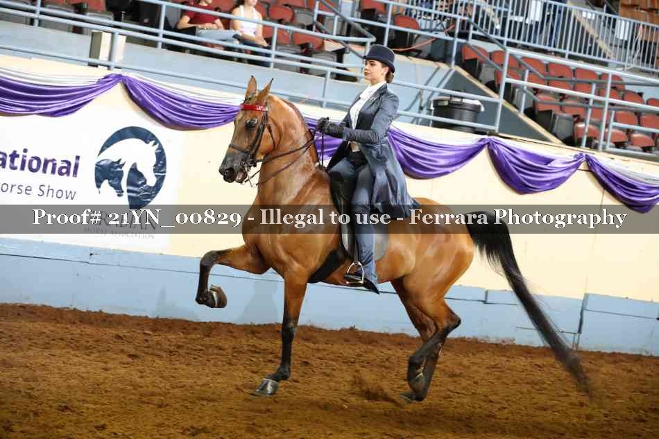 Proof 21YN_00829