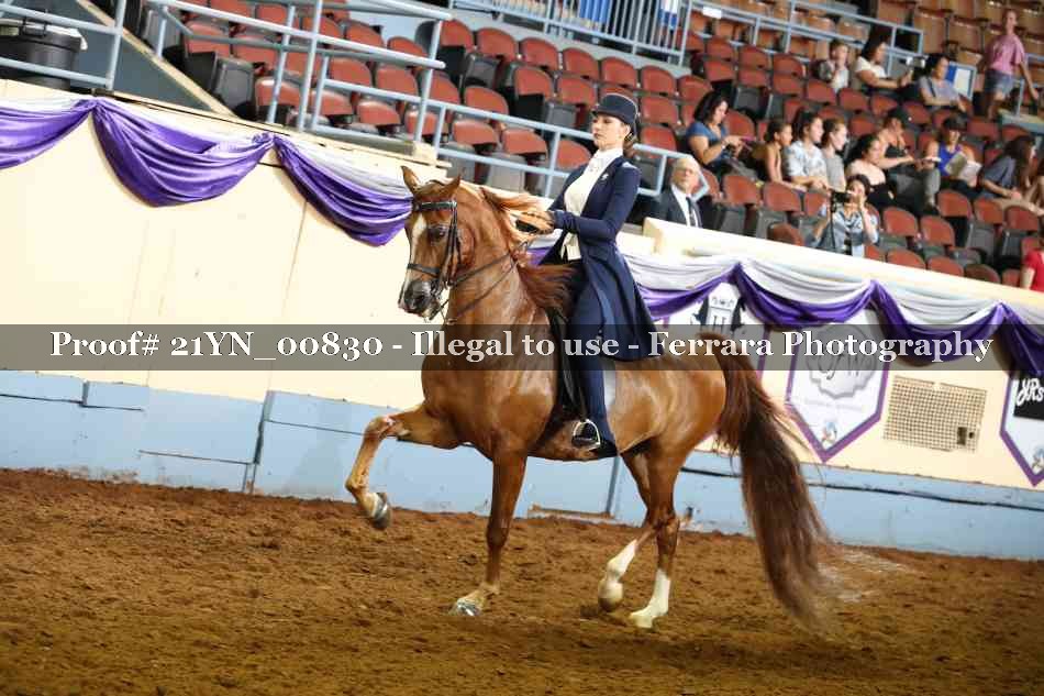 Proof 21YN_00830