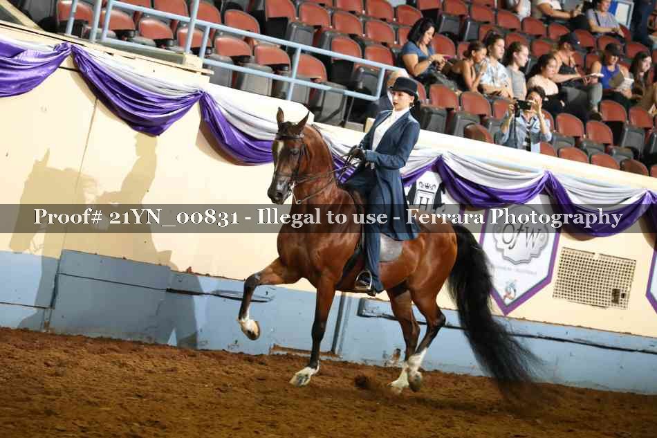 Proof 21YN_00831