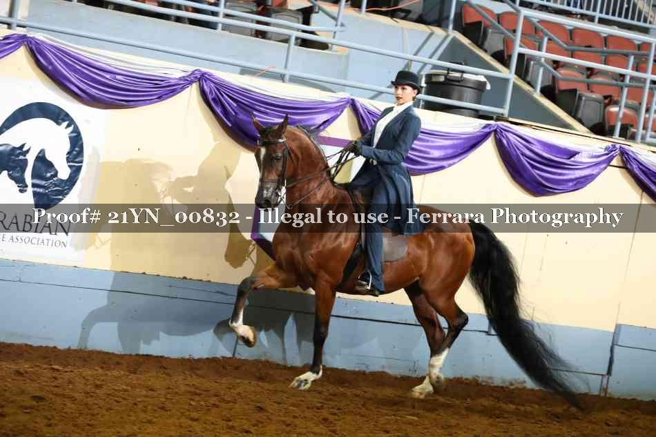 Proof 21YN_00832