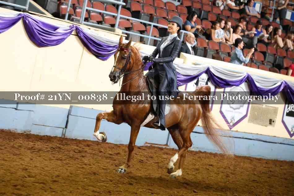 Proof 21YN_00838