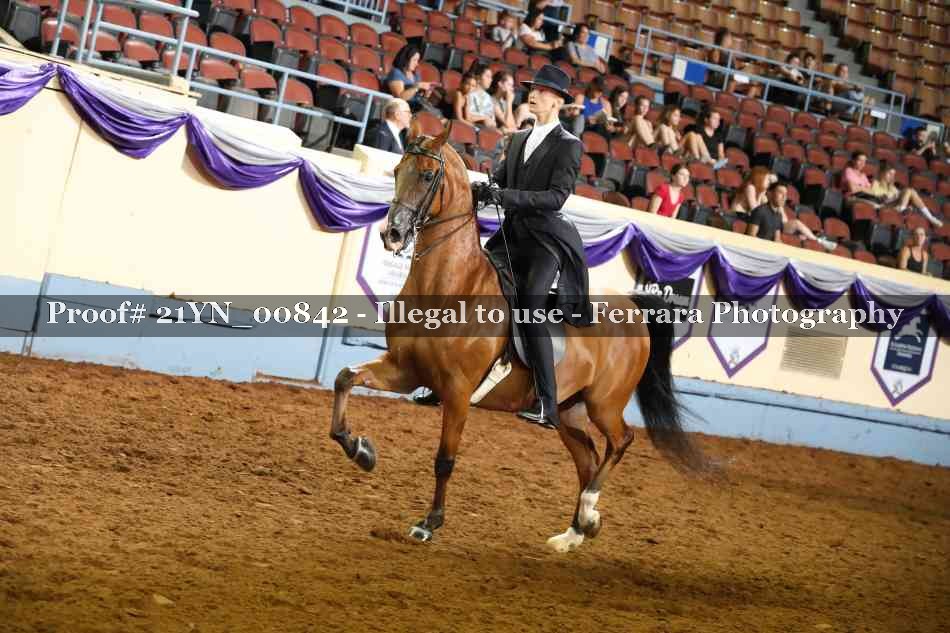 Proof 21YN_00842