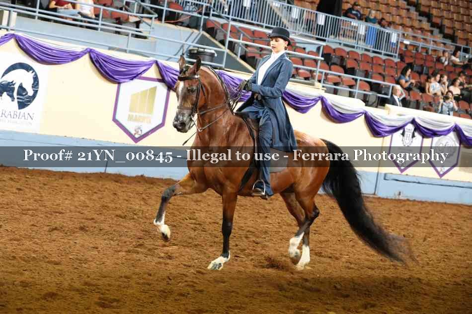 Proof 21YN_00845