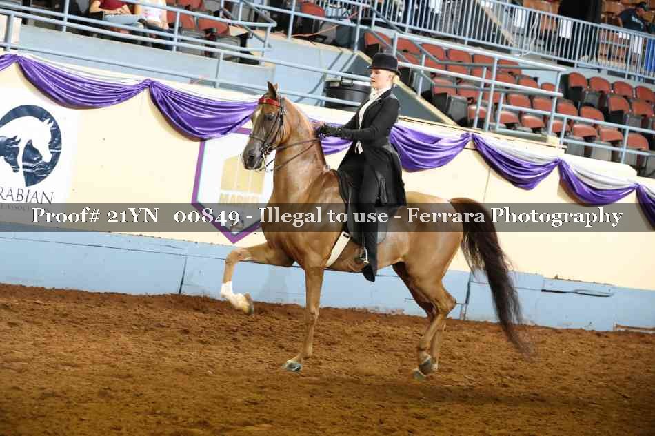 Proof 21YN_00849