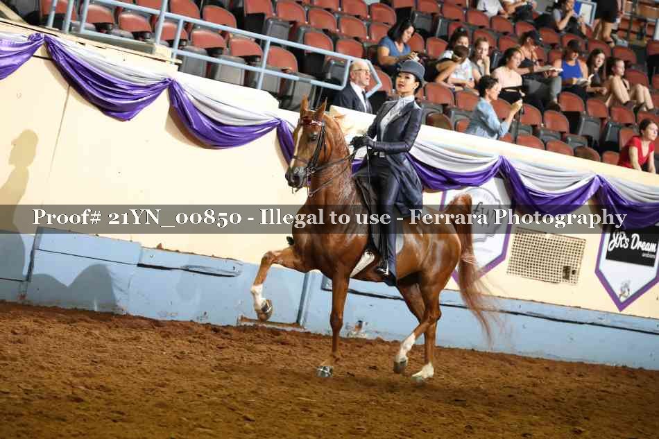 Proof 21YN_00850