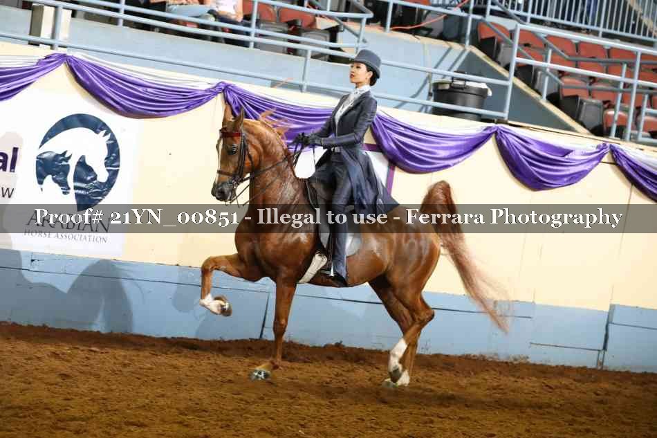 Proof 21YN_00851