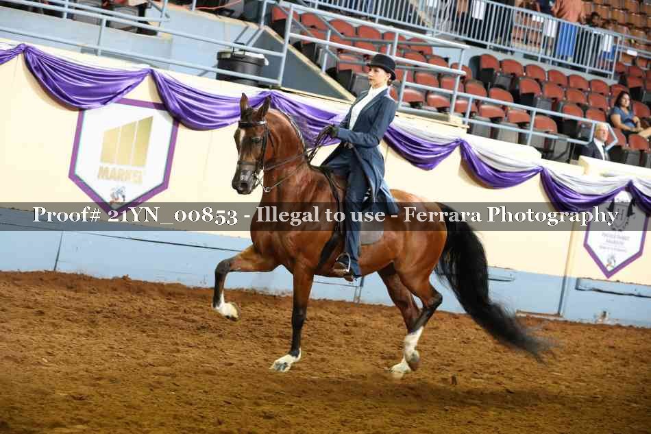 Proof 21YN_00853