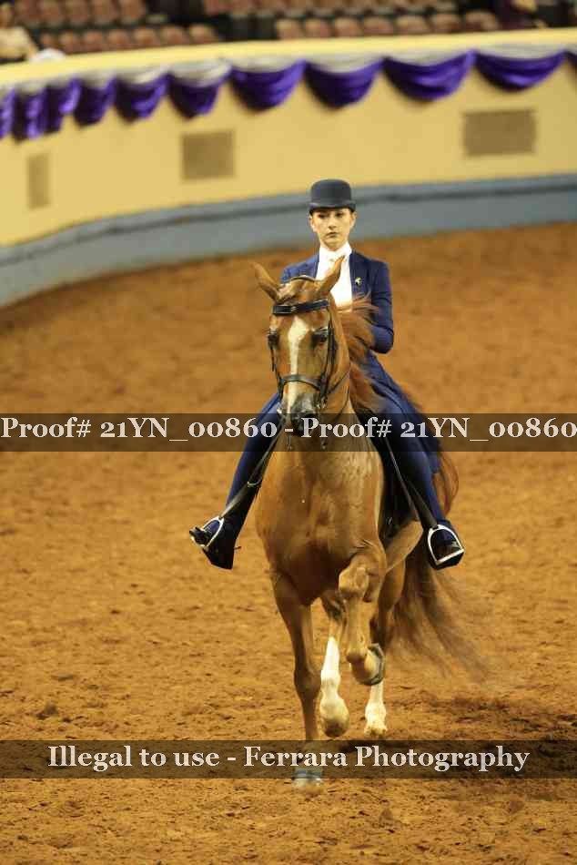 Proof 21YN_00860