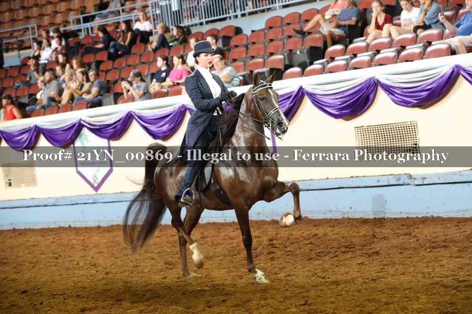 Proof 21YN_00869
