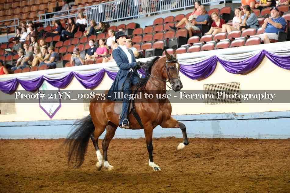 Proof 21YN_00873