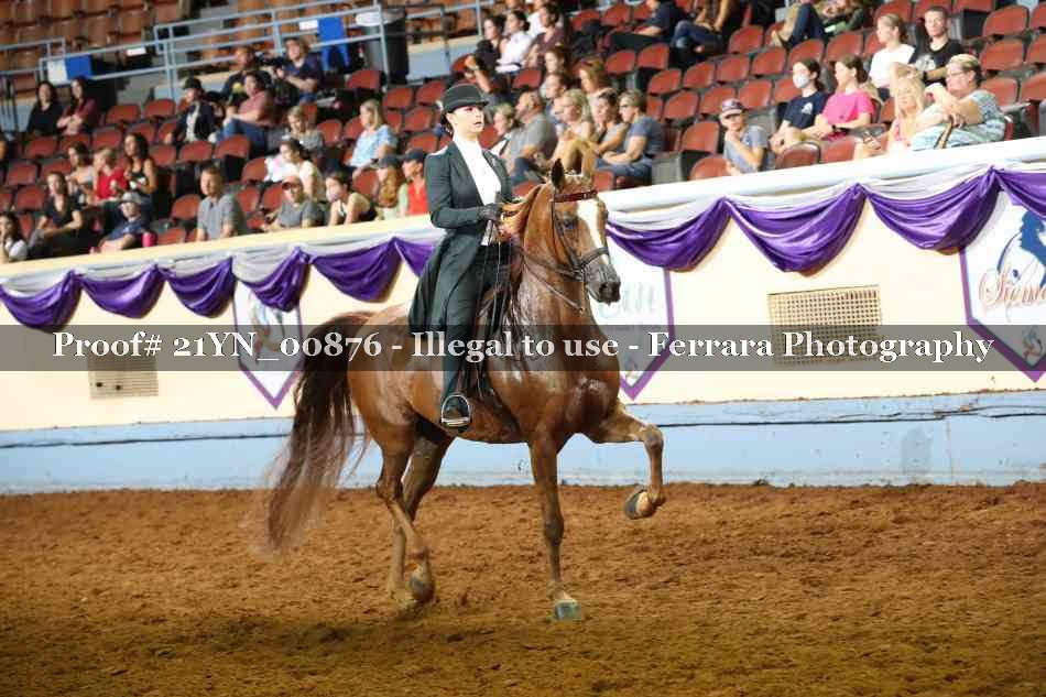 Proof 21YN_00876