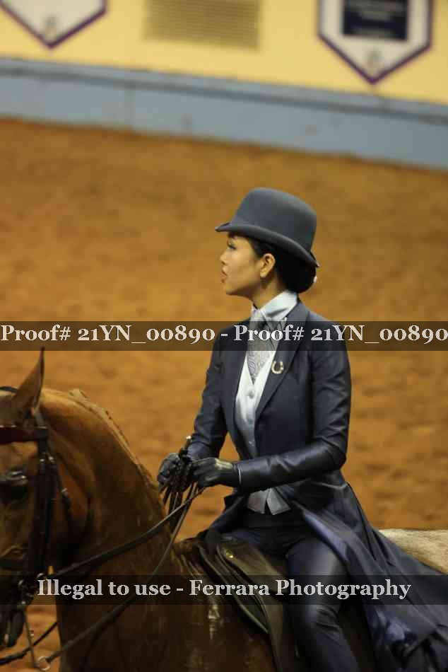 Proof 21YN_00890