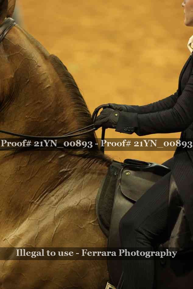Proof 21YN_00893