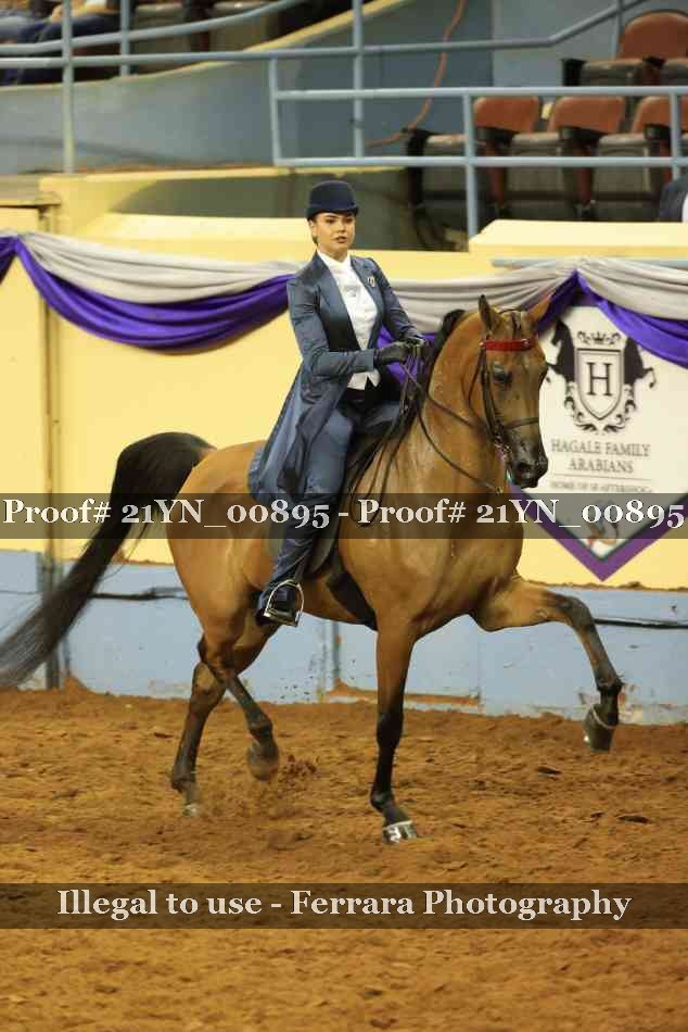 Proof 21YN_00895