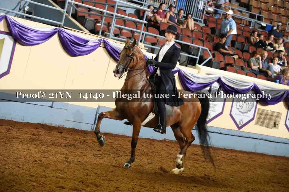 Proof 21YN_14140