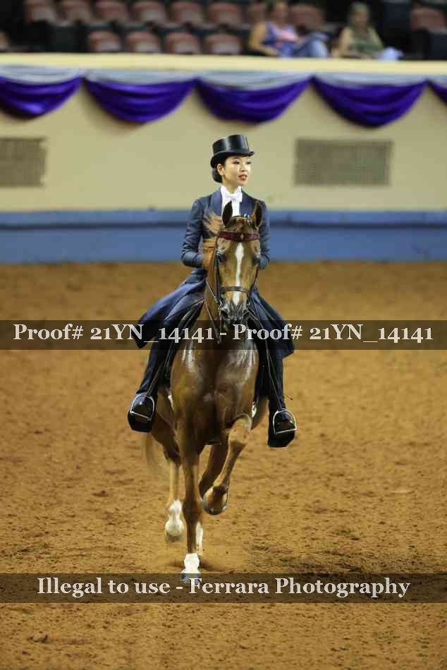 Proof 21YN_14141