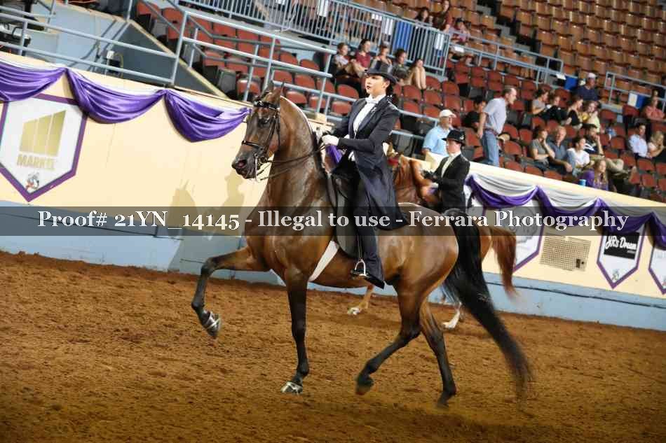 Proof 21YN_14145