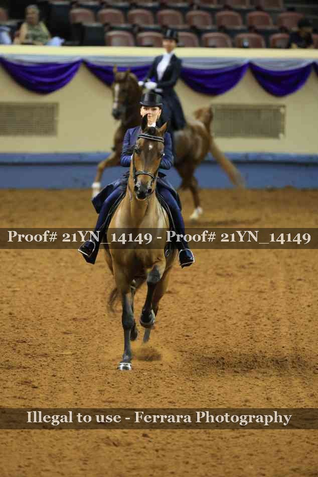 Proof 21YN_14149