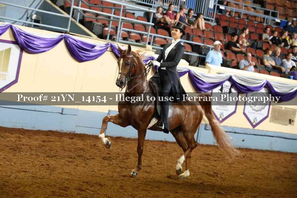 Proof 21YN_14154