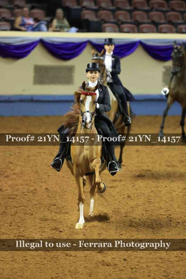 Proof 21YN_14157