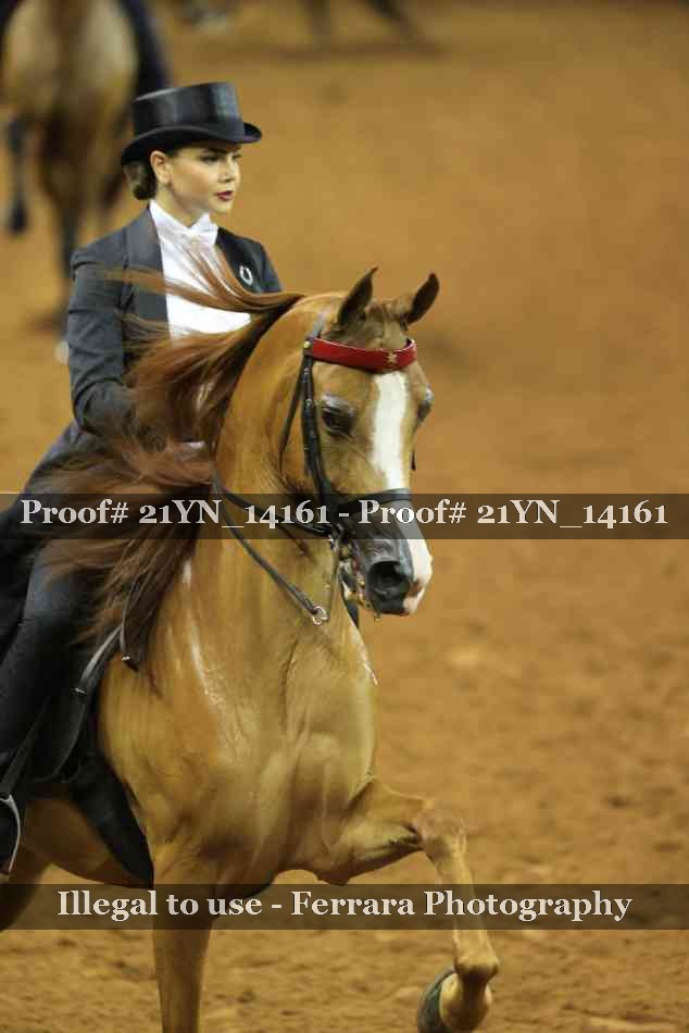 Proof 21YN_14161