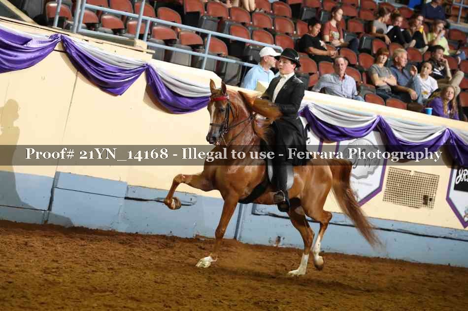 Proof 21YN_14168