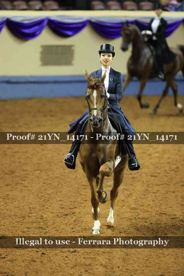 Proof 21YN_14171