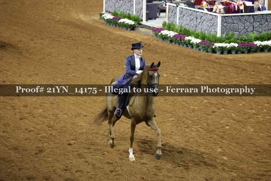 Proof 21YN_14175
