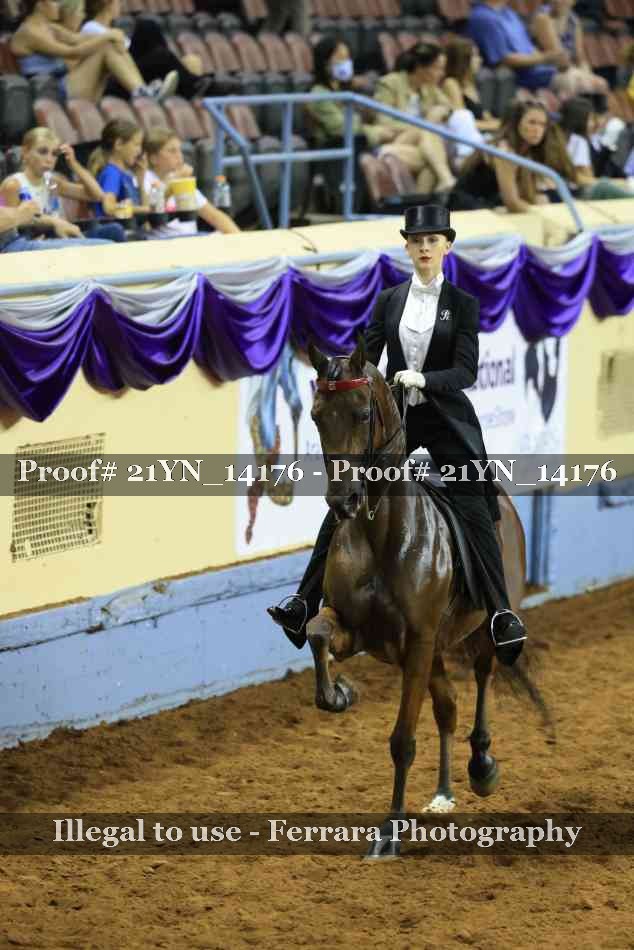 Proof 21YN_14176