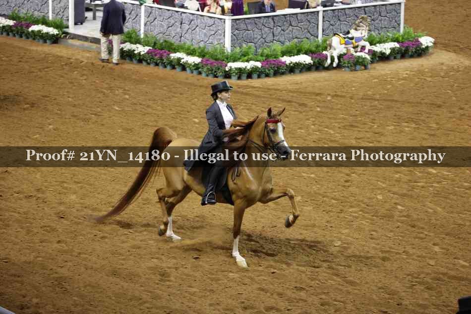 Proof 21YN_14180